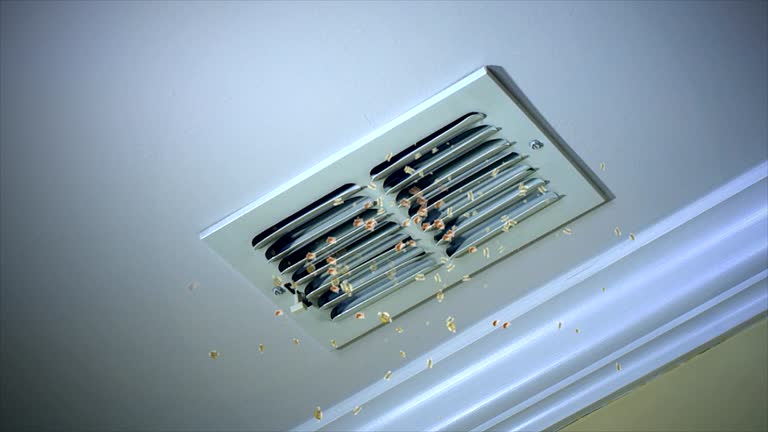 Air Duct Mold Removal in TX
