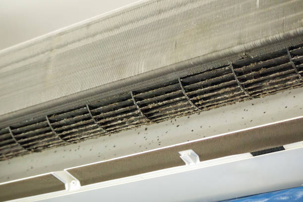 Best HVAC System Cleaning  in Texas City, TX